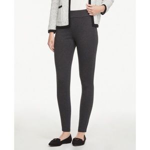 NWT! Ann Taylor Factory Pull on Pant Legging